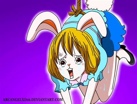 carrot one piece sex|Carrot Transformation One Piece Porn Videos 